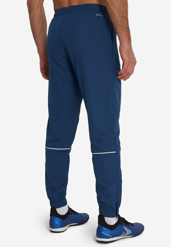 Брюки мужские Demix, Синий