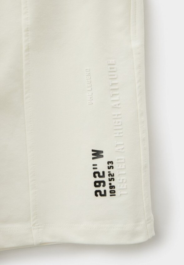 Шорты спортивные Fashion X&S