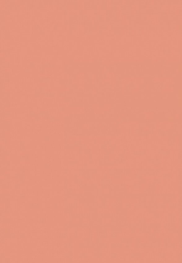 Румяна Influence Beauty