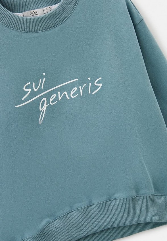 Свитшот Sui Generis