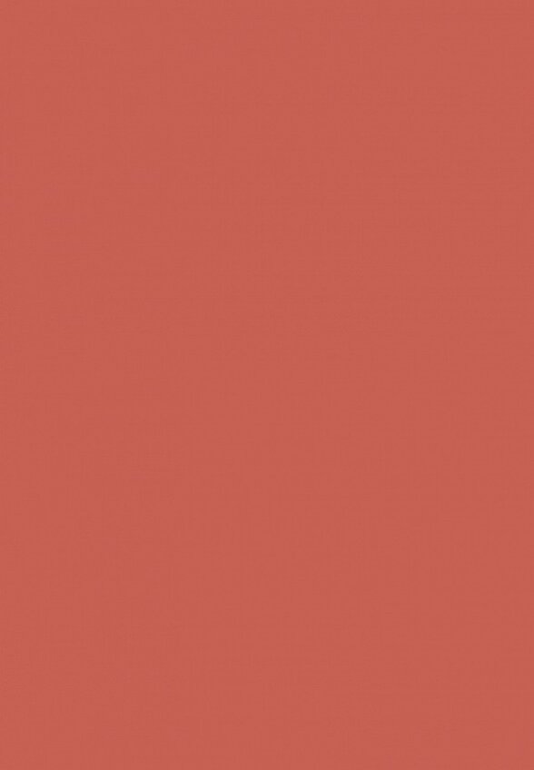 Помада жидкая Muzigae Mansion