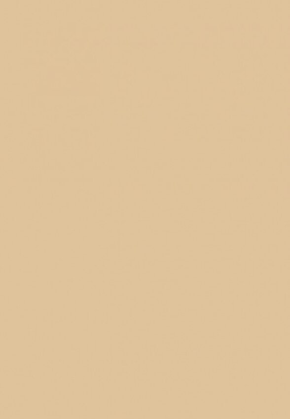 Пудра компактная Golden Rose