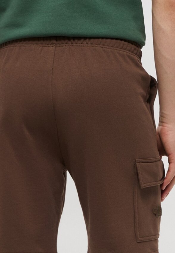 Шорты спортивные The North Face