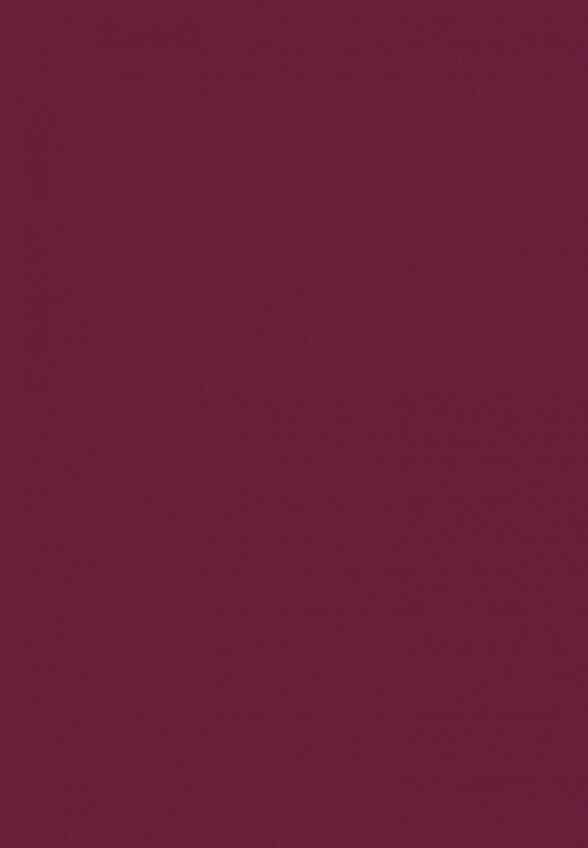 Помада Stellary