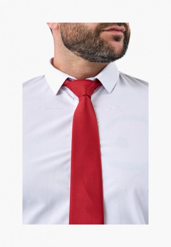 Галстук Stilmark