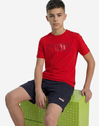 Футболка для мальчиков PUMA Ess Logo Lab Story 2, Красный женщинам