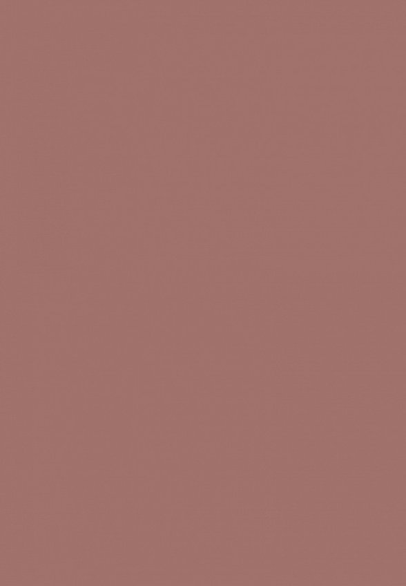 Помада Influence Beauty