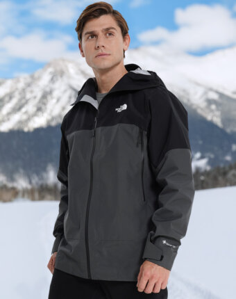 Куртка мембранная мужская The North Face Jazzi 3 L Gtx, Серый женщинам