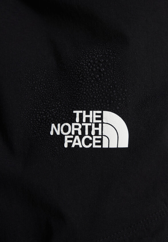 Брюки мужские The North Face Exploration, Черный