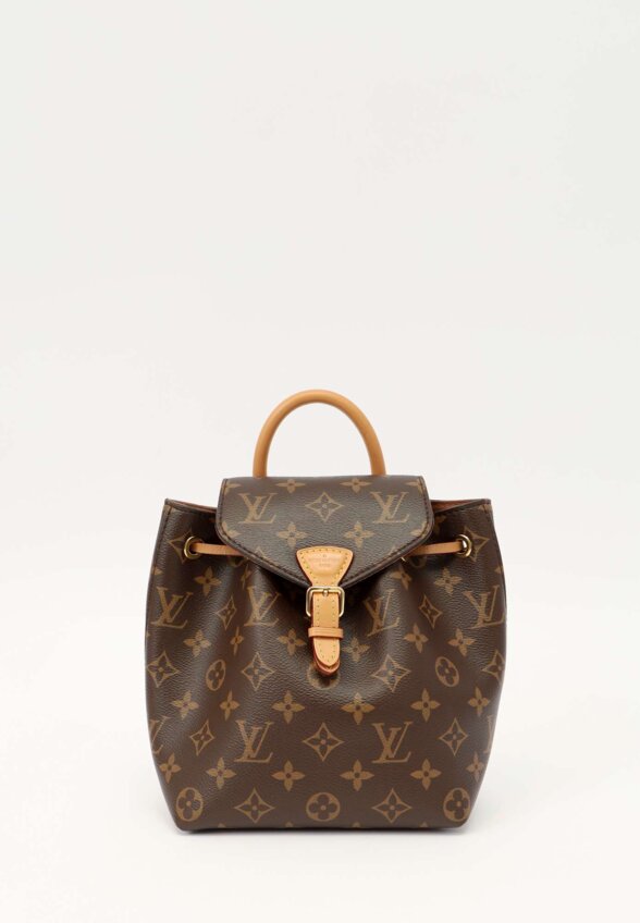 Louis Vuitton Montsouris