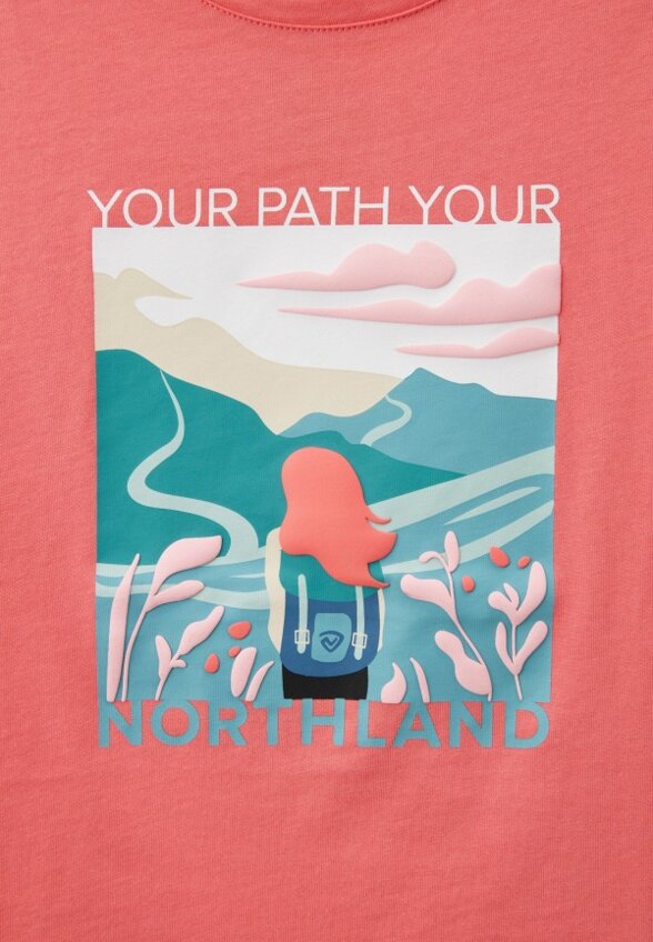 Футболка Northland