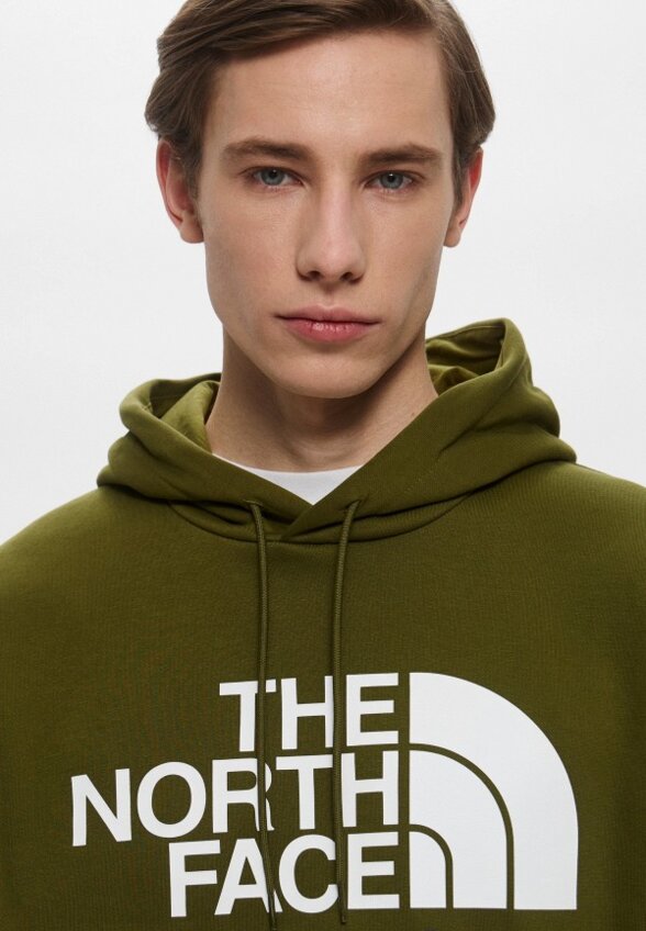 Худи The North Face