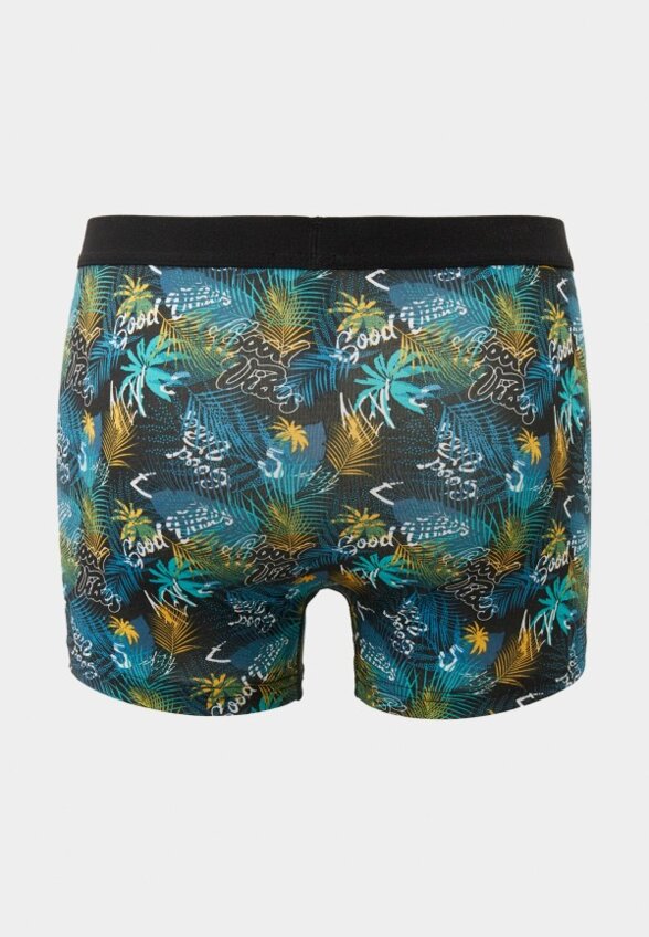 Трусы 3 шт. LC Waikiki