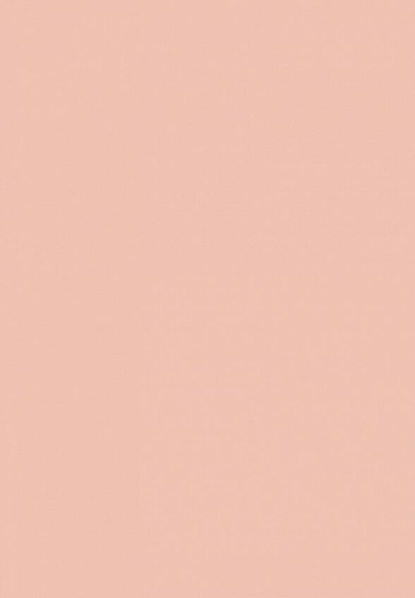 Хайлайтер L'Oreal Paris