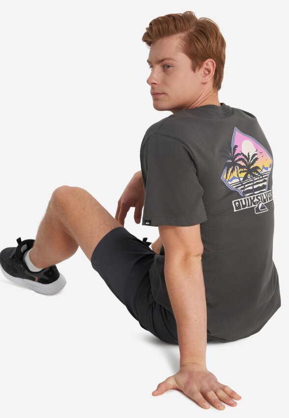 Футболка мужская Quiksilver Palm Square, Серый