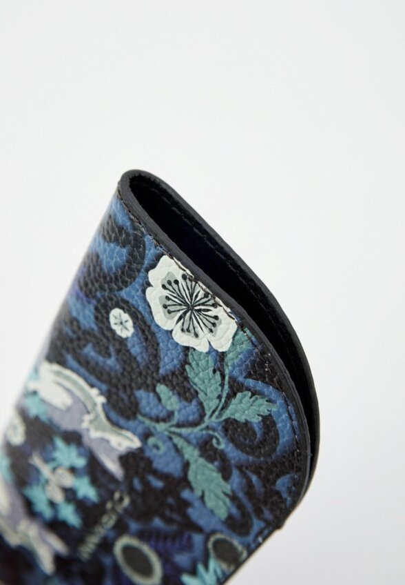 Чехол для очков Curanni