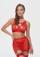Бюстгальтер, трусы, пояс для чулок и подвязки 2 шт. Amazonka Underwear3  - превью