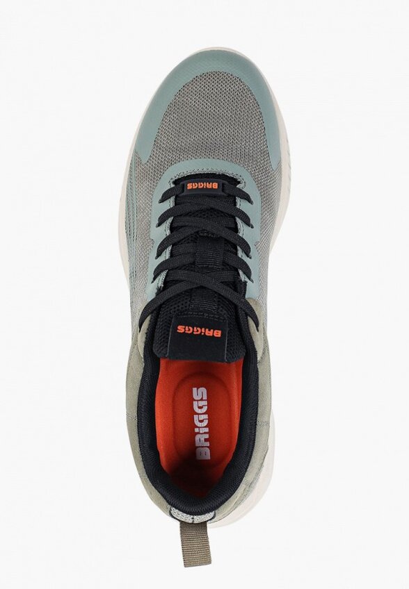 Кроссовки Briggs