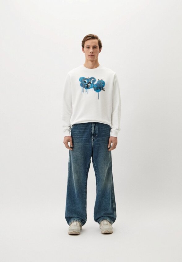 Свитшот Iceberg