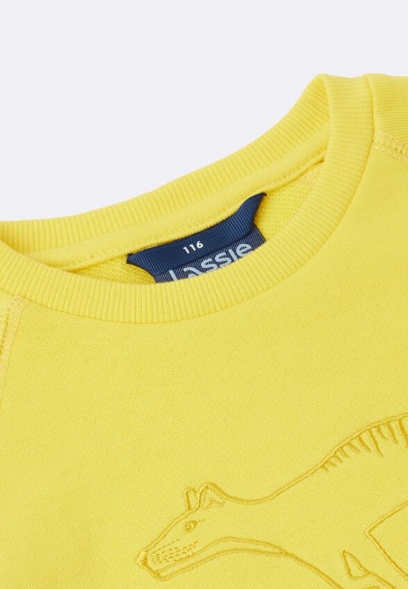 Свитшот Lassie