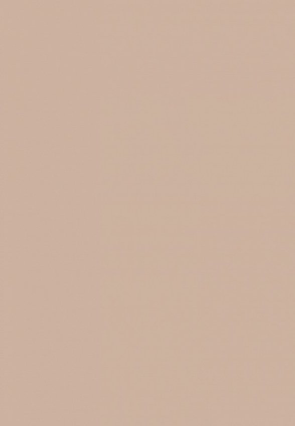 Пудра компактная Shik