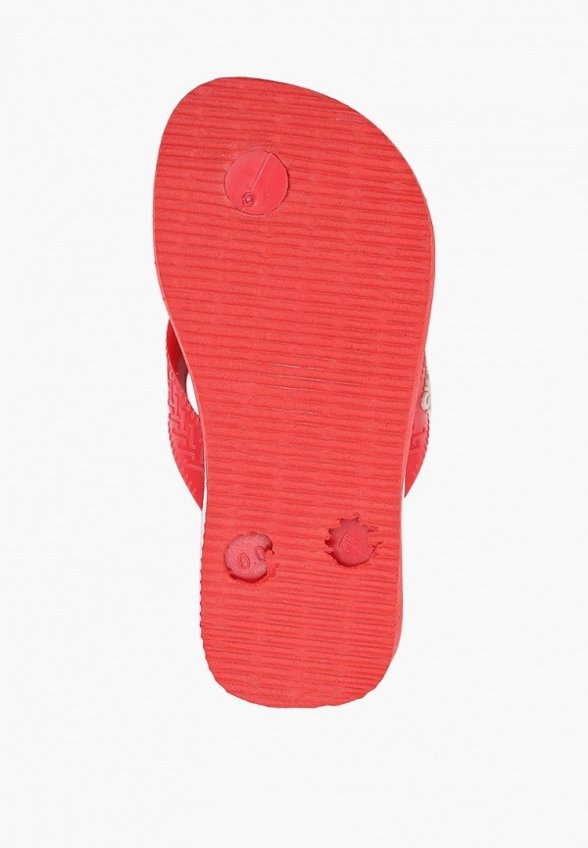 Сланцы Havaianas