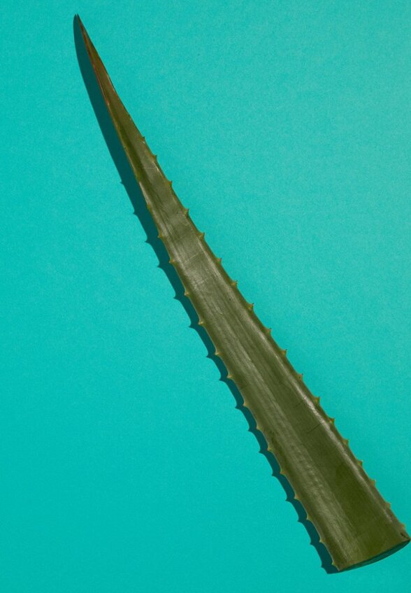 Шампунь Garnier