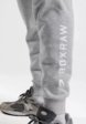 Брюки спортивные Boxraw6  - превью