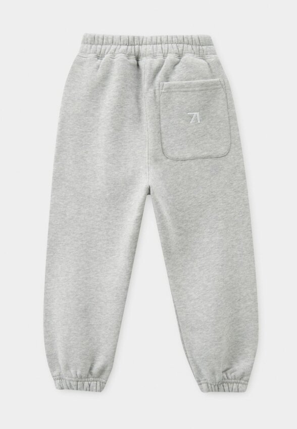 Брюки спортивные Asia st 71