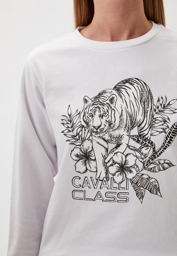 Свитшот Cavalli Class