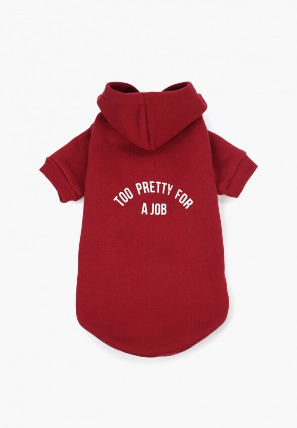 Толстовка для собак Zarina