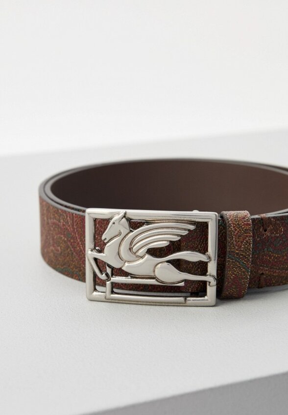 Ремень Etro