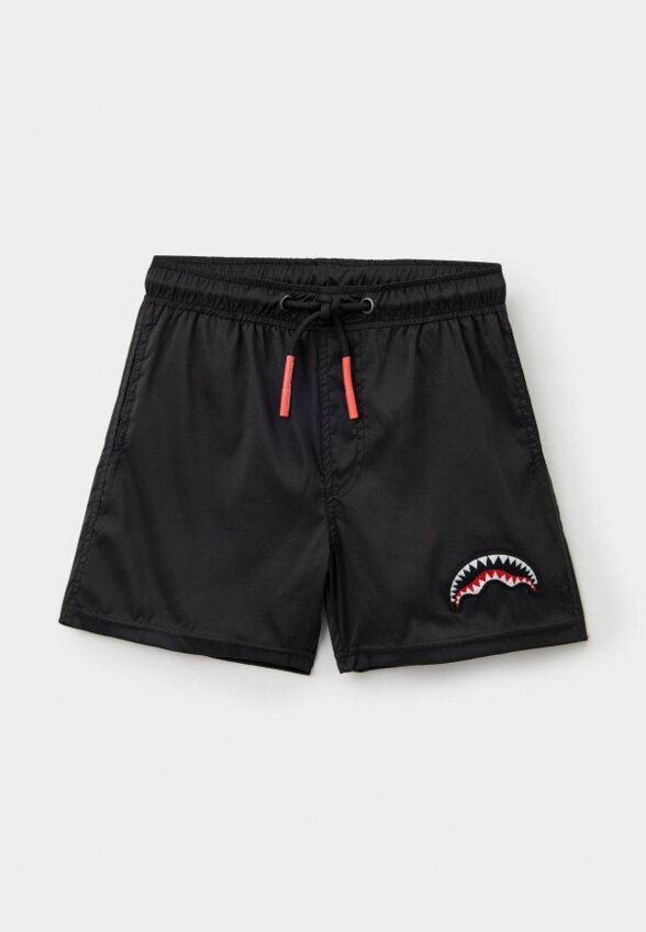 Шорты для плавания Sprayground