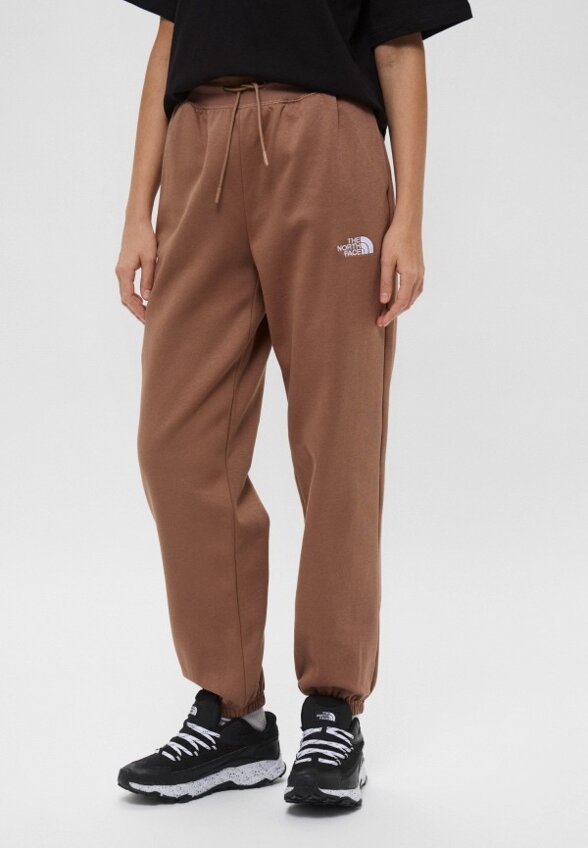 Брюки спортивные The North Face