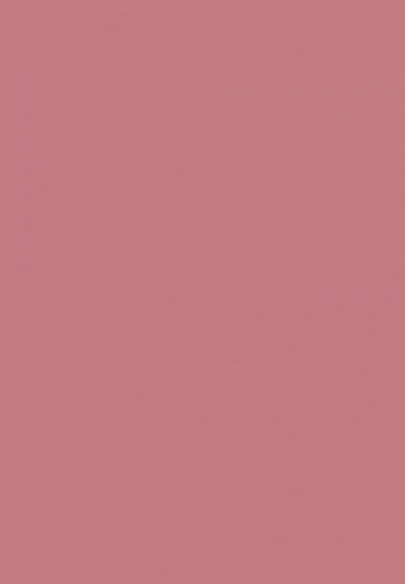 Румяна Make Up Factory