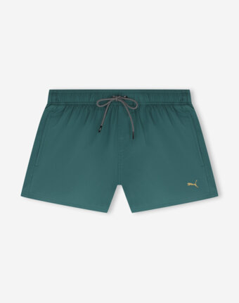 Шорты плавательные мужские PUMA Swim, Зеленый женщинам