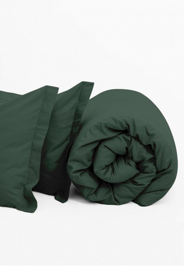 Постельное белье Евро Василиса