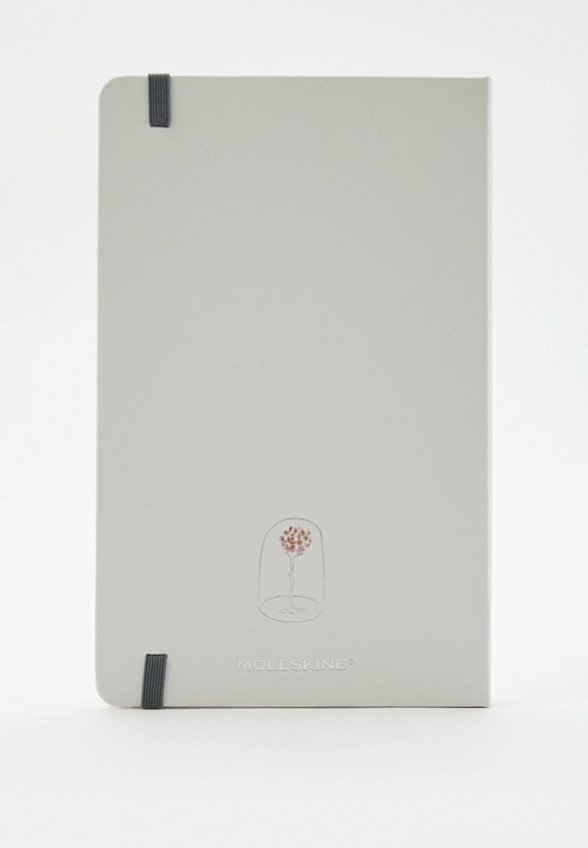 Ежедневник и блокнот Moleskine