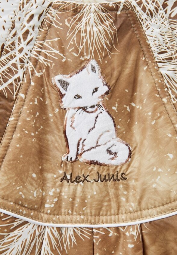 Комбинезон утепленный, варежки и пинетки Alex Junis