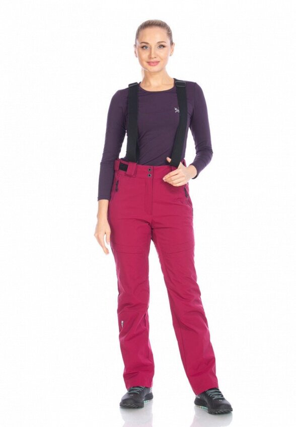 Брюки горнолыжные Forcelab
