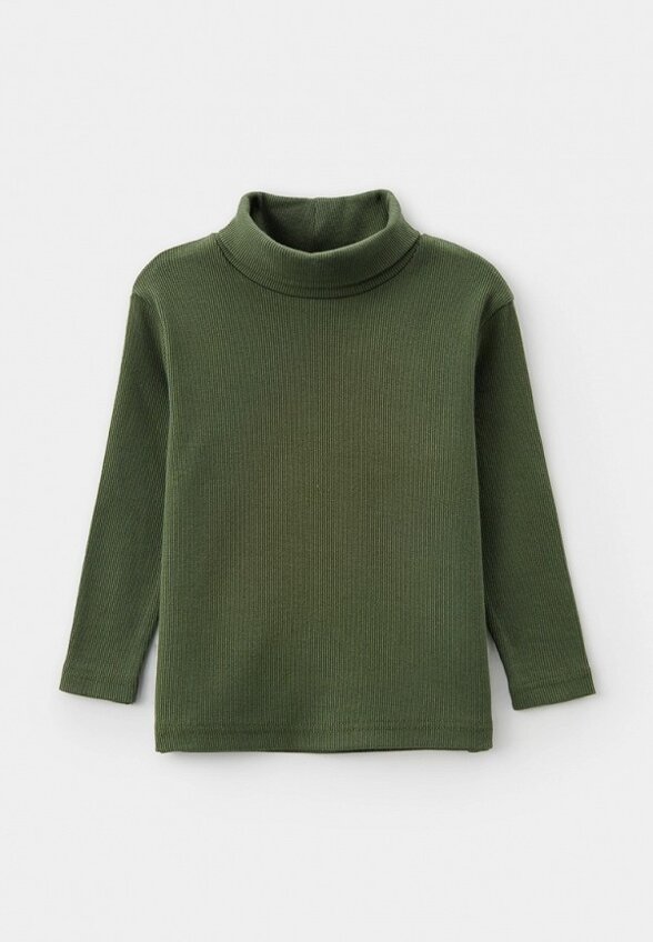 Водолазка Pelican