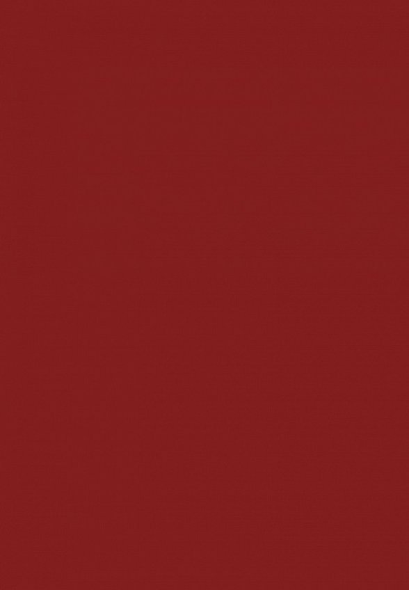 Помада жидкая Focallure