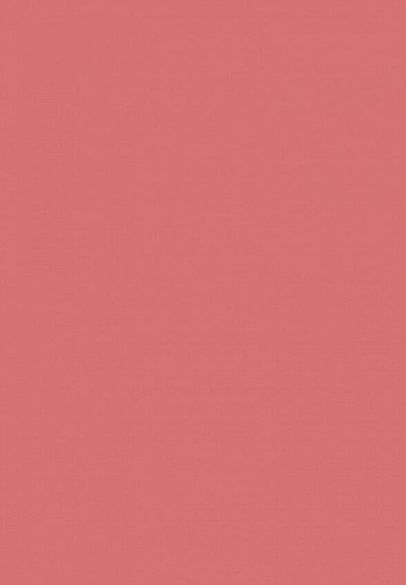 Бальзам оттеночный для губ Vivienne Sabo