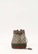 Gucci Ophidia1  - превью