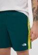 Шорты спортивные The North Face4  - превью