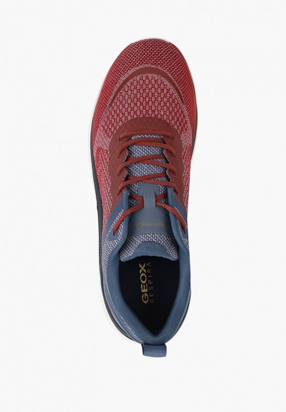 Кроссовки Geox