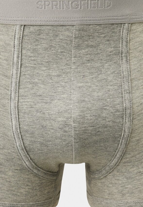 Трусы 3 шт. Springfield