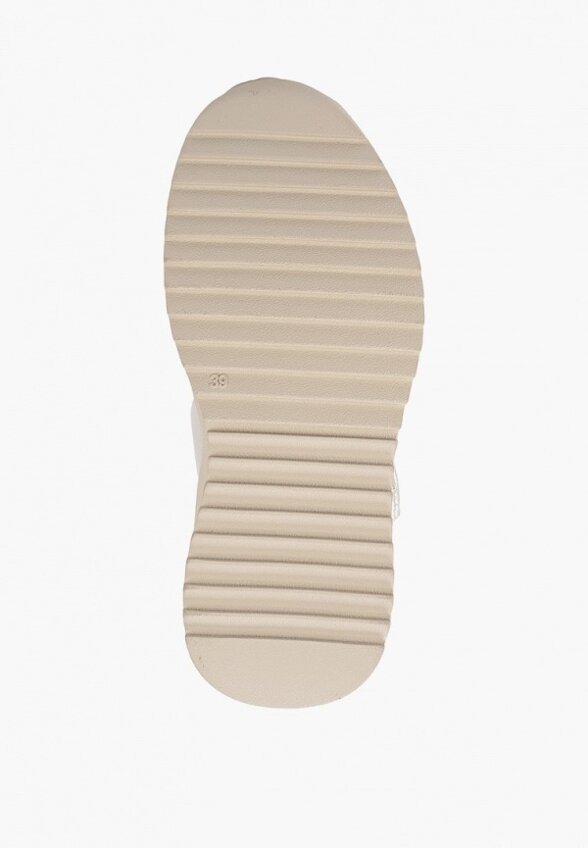 Дутики Ascalini