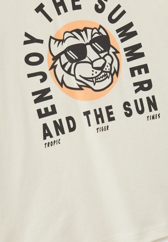 Футболка Tom Tailor