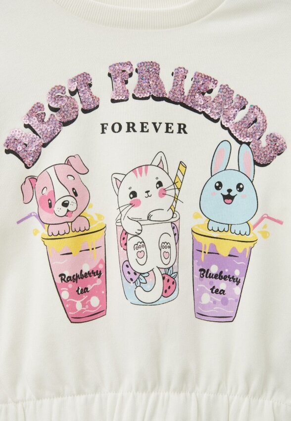 Свитшот Terranova